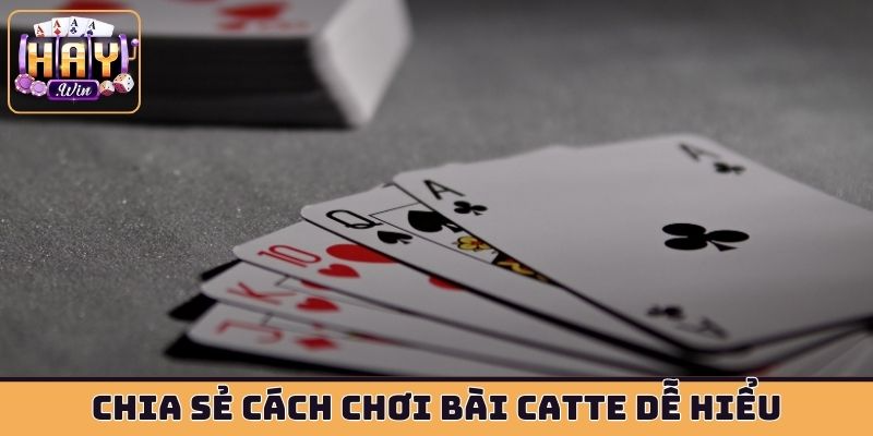 Chia sẻ cách chơi bài Catte dễ hiểu