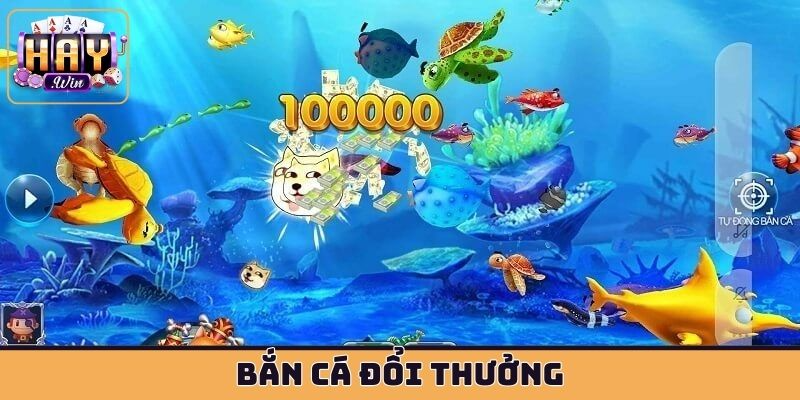 bắn cá dổi thưởng