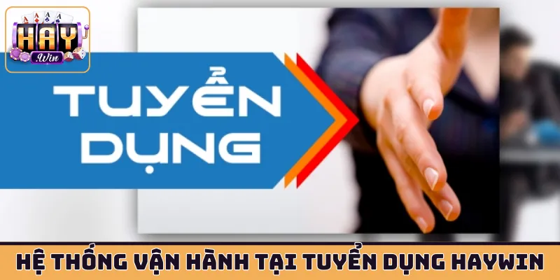 Hệ thống vận hành tại tuyển dụng HAYWIN