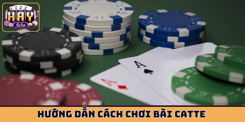 Hướng dẫn cách chơi bài Catte cho người mới