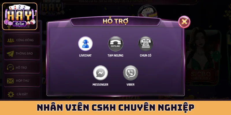 Nhân viên CSKH chuyên nghiệp